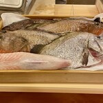 赤吉 - カリスマ漁師 藤本純一さんの魚たち