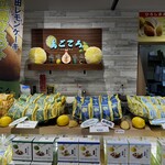 島ごころ セトダ - 