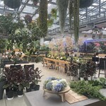 スターバックスコーヒー - 