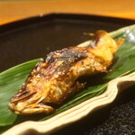 日本料理 幸庵 - 福井県九頭竜川の天然鮎の塩焼きアップ