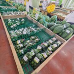 ファーマーズマーケットいとまん うまんちゅ市場 - シークヮーサー売場
