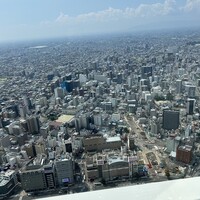 ワインラウンジ＆レストラン セパージュ 名古屋店 - 名駅西