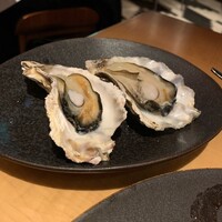 THE RIGOLETTO -  THE RIGOLETTO -