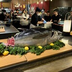 クラブメッド 北海道トマム - 解体前のマグロ