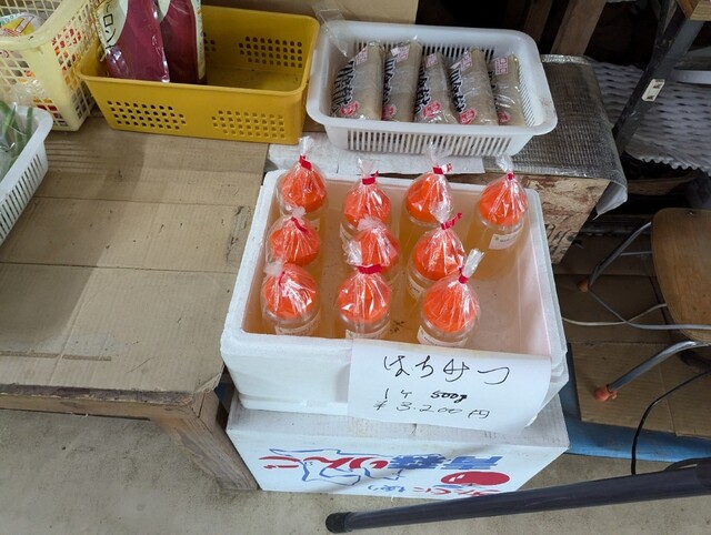 芳乃ガーデン - 泉郷（その他）の写真