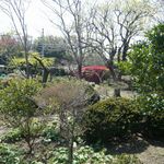 樋ノ上 - 庭です