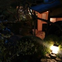 潜龍 - 庭