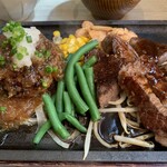 トリート - ハンバーグ(和風ソース)カットステーキ(ガーリックソース)