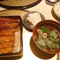 うなぎ 目白ぞろ芽 - 