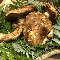 御料理 一燈 - 