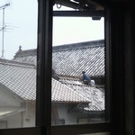 うどんYA - 窓から見えるお隣の立派な屋根、かわら葺き替えてたので気がつきましたがすごい屋根です。