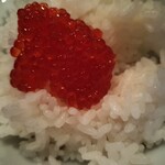 コンカドール - 