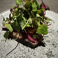 GapricE - 