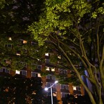 カーヴ - そして帰還だ♬