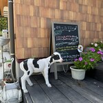 カフェ カーフ ハッチ ヨーヨ - 