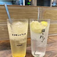 恵比寿ビストロ 猫も杓子も - 