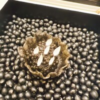 タカヤマ - 