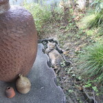 さじこよみ - 遊びに来ている猫