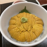函館うに むらかみ 日本生命札幌ビル店 - 雲丹丼レギュラー　※函館産とのこと。ムラサキ雲丹ですね。鮮度は申し分ないですが、今雲丹高いですねー。ムラサキでこの値段か〜。