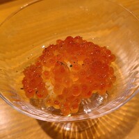 広島 鮨 天ぷら いわい - ⑪生筋子(北海道産)、削り青柚子皮掛け
                    初秋なので北海道東部の沖合いで獲れた白鮭の筋子でしょう、イクラの粒の小ささがその証
                    古いイクラは皮膜が硬くなるが軟らかいので鮮度も良く、コクもあり良い感じでした