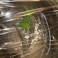 きときと 名古屋店 - 