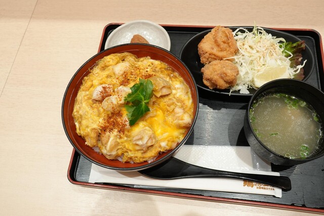 Tori Sanwa Sentorea Ten