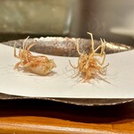 天麩羅 ひらいし - 