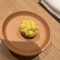 マンサルヴァ - 