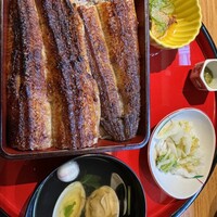 炭焼 うな富士 有楽町店 - 