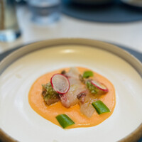 IN DISH -  IN DISH -