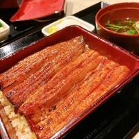 うなぎ 目白ぞろ芽 - 