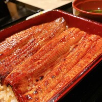 うなぎ 目白ぞろ芽 - 