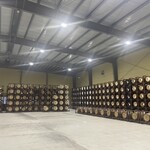 SHINDO LAB - ストレージ01内部