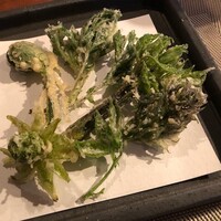 飛騨季節料理 肴 - 