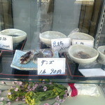 藤や - ショーケース