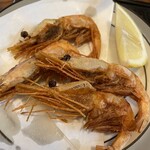 くいだおれ さとみ - 