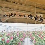 ユートピアファーム宮古島 - 