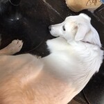 フリークス - スペース広いので寝てます