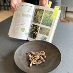 プレゼンテ スギ - 