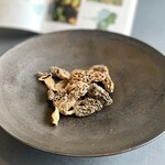 プレゼンテ スギ - アミガサダケ (モリーユ茸)