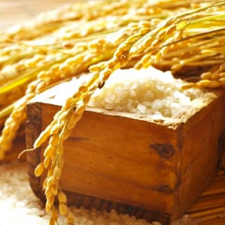 無農薬の『ハツシモ』安心安全！犬山の農家さんから直接仕入れ