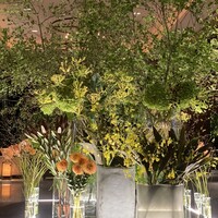 グランド キッチン -  グランド キッチン -