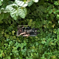 Virtue - 
