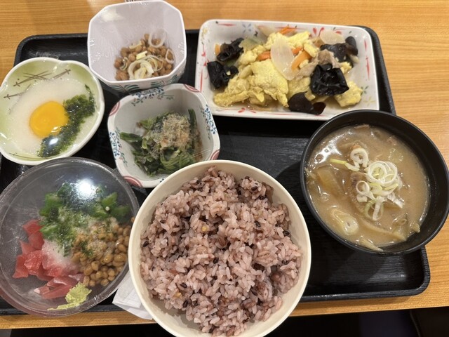 Hatagaya Komachi Shokudo photo 5