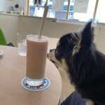 ドッグカフェ BlueSun - ドリンク写真:シェイク飲みたいねぇ