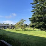 プリムローズ - 