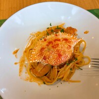 GLICINE di ACQUA PAZZA - 