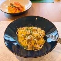 GLICINE di ACQUA PAZZA - 