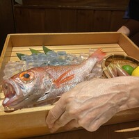 のどぐろ専門 銀座 中俣 - 