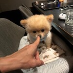 ガストロノミヤ 古賀圭祐 - 